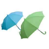 Umbrella and Rain Gear
